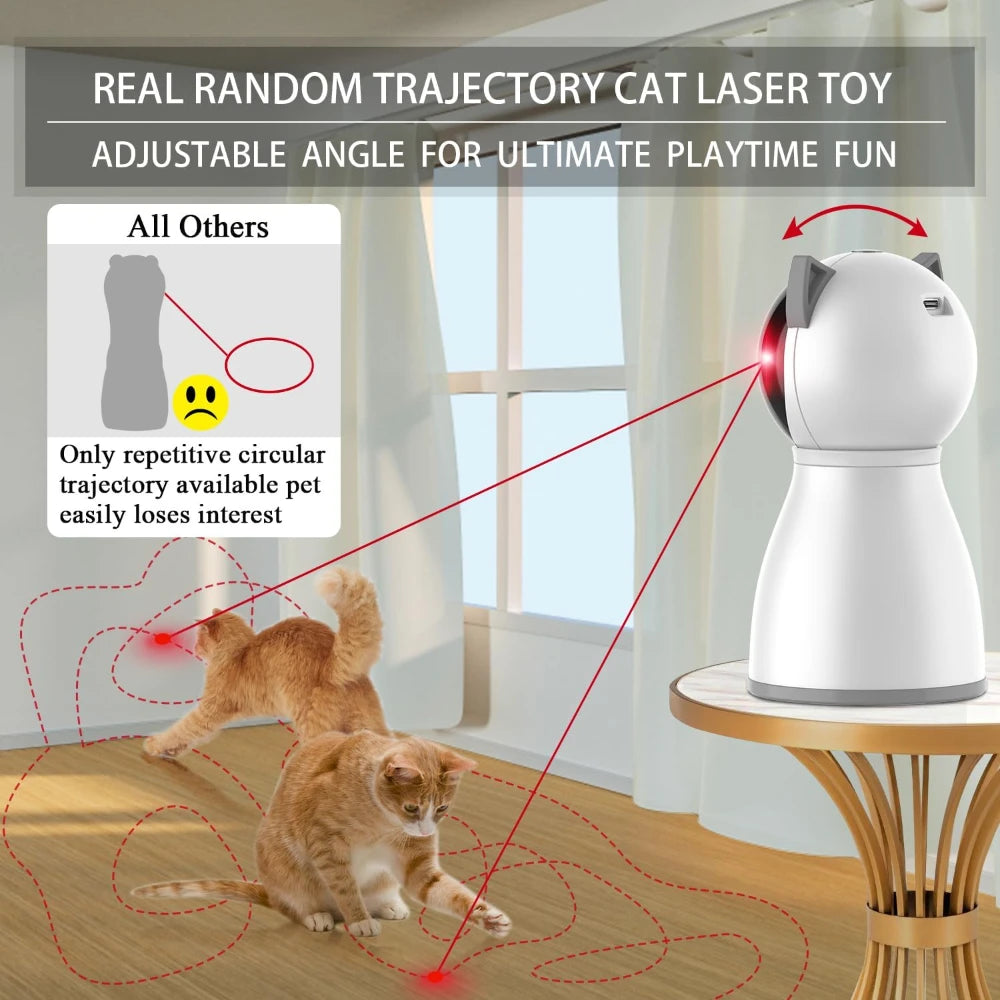 Laser Cat Chase