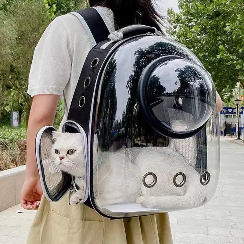 PawPod