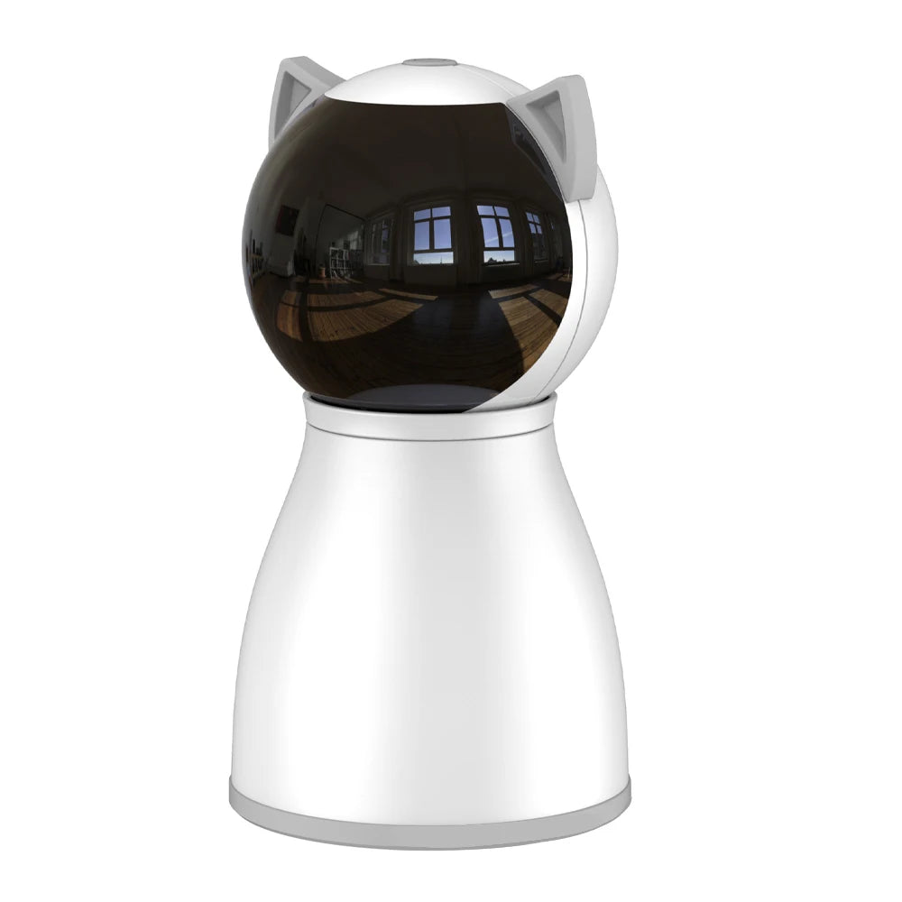 Laser Cat Chase