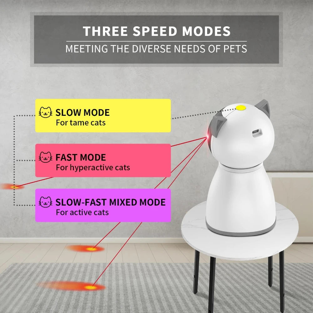 Laser Cat Chase