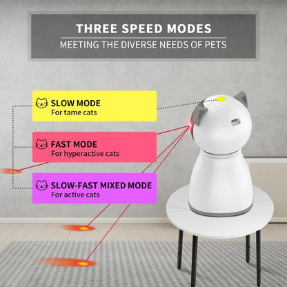 Laser Cat Chase