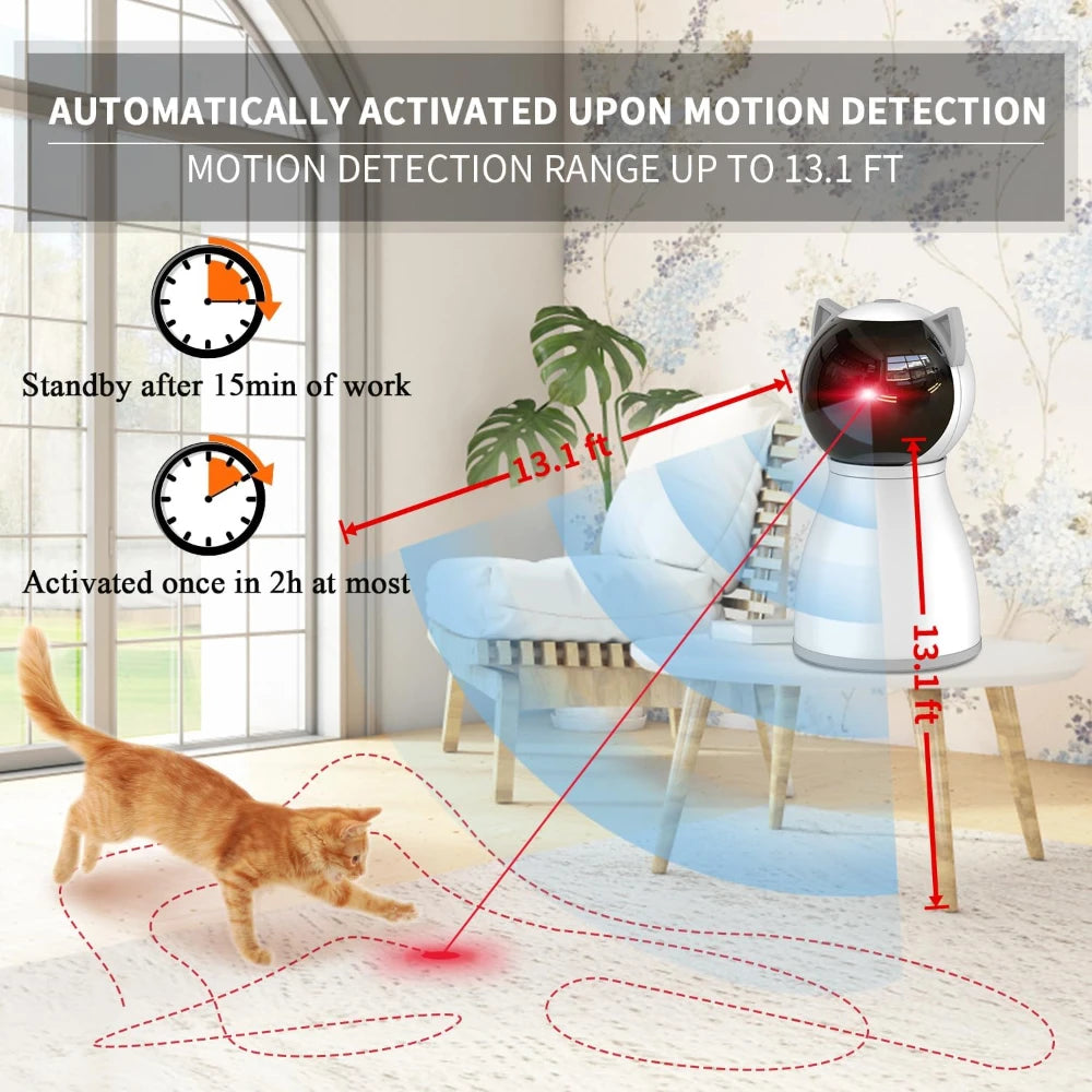 Laser Cat Chase