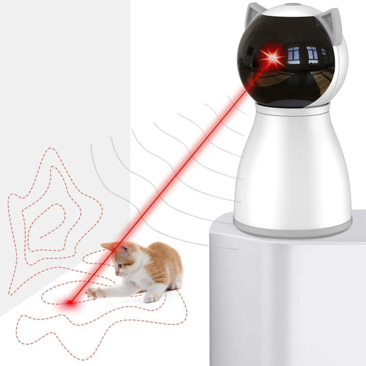 Laser Cat Chase