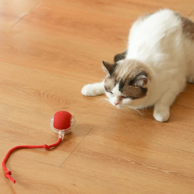 MouseBall